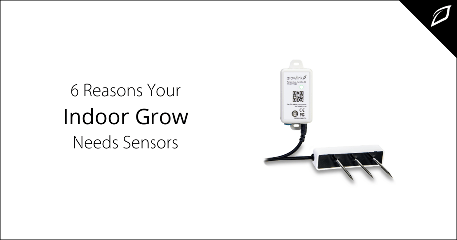 6 Reasons Your Indoor Grow Needs Sensors-2