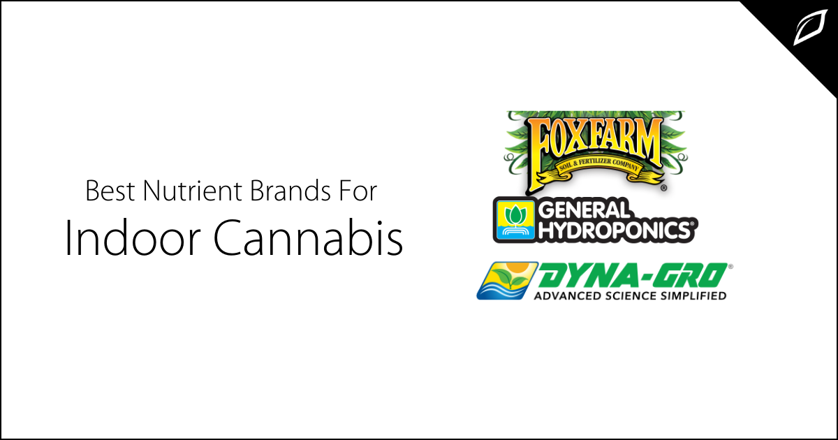 Best Nutrients Brands For Indoor Cannabis