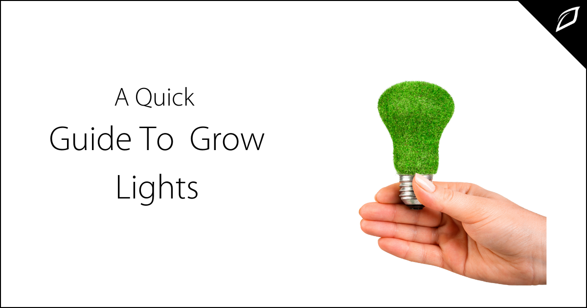 Indoor Grow Lights