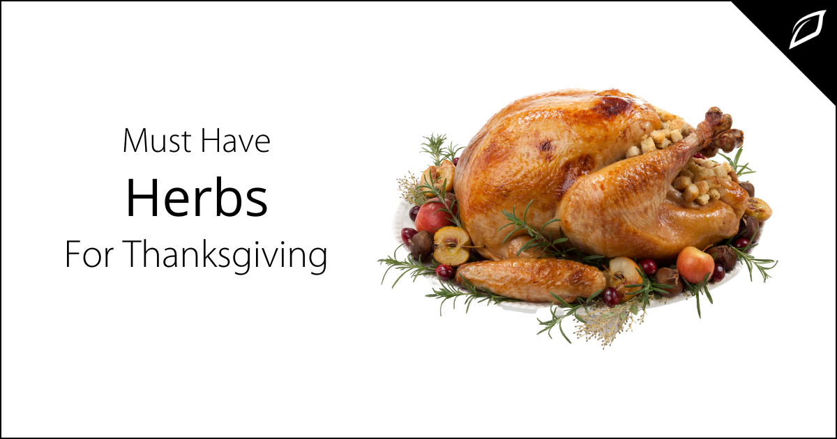 Thanksgiving Blog 16x9