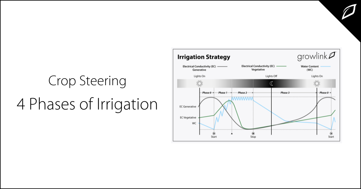 Crop Steering - 4 Phases of Irrigation