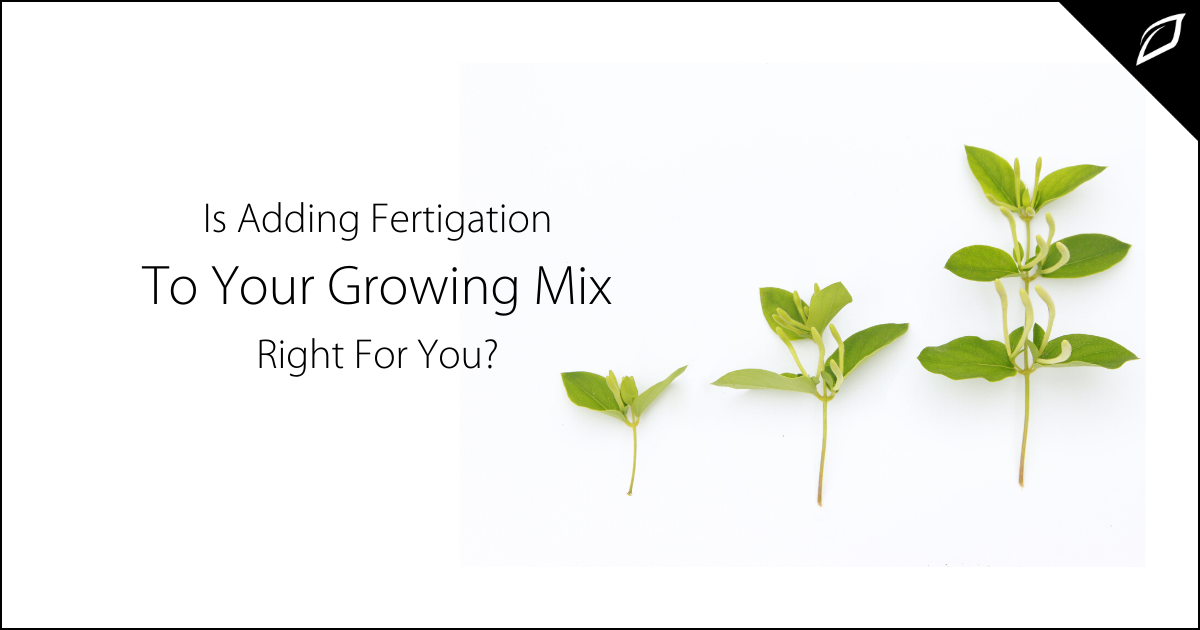 indoor agriculture
