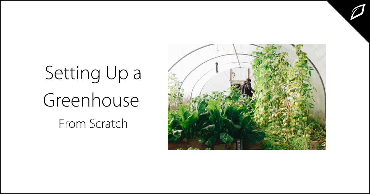 vertical_container_farming-email-036330-edited