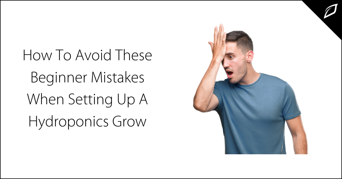 Greenhouse 101