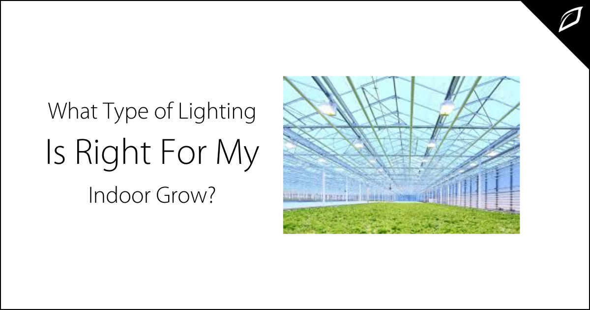 grow-lights-gehlDASHledDOTcom