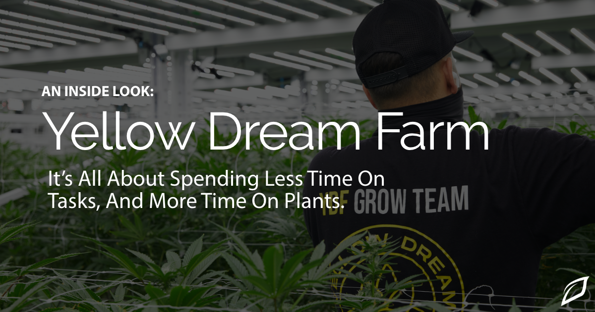 An Inside Look: Yellow Dream Farm & How They Use Growlink