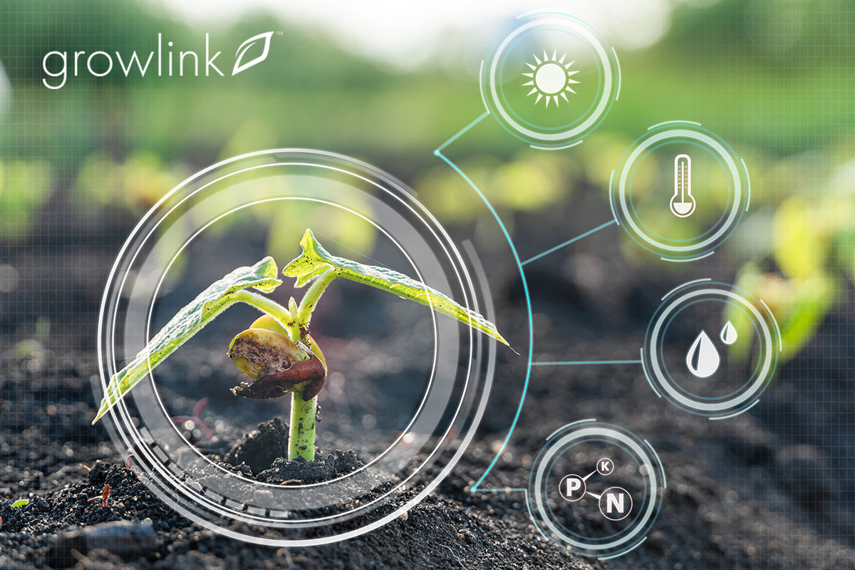 Unleashing the Potential of Data for Sustainable and Efficient Controlled Environment Agriculture