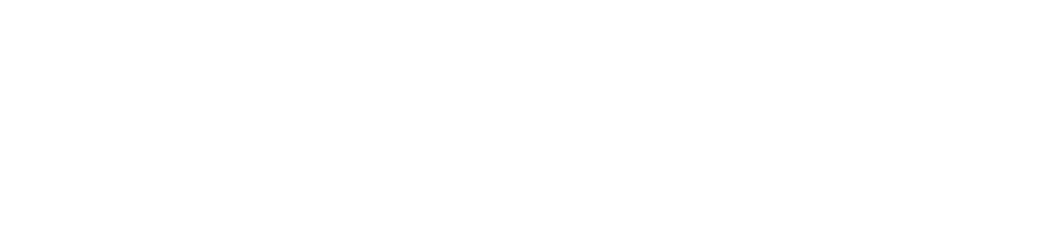 logo-2